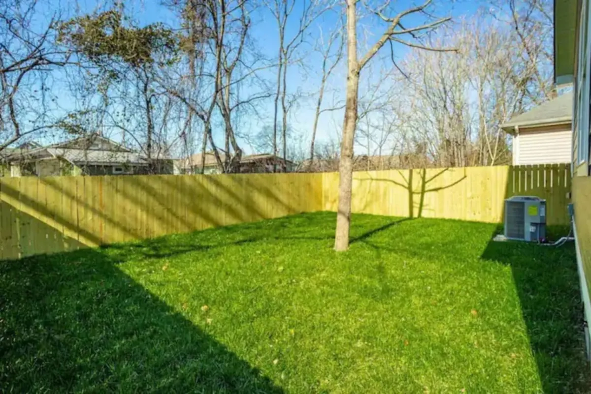 An exterior view of a lush green backyard featuring a solitary tree and a fenced perimeter. The grassy area offers ample space for outdoor activities, gatherings, or relaxing in the sun. The scene suggests the possibility of casual backyard barbecues or tranquil moments outdoors after a lively night out.